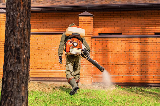Trusted Bed Bug Control service in Powells Crossroads, TN - Nex Pest Control